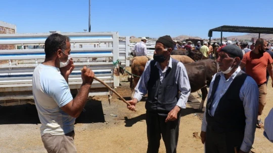 Malatya Canlı Hayvan Pazarı'nda Arefe günü yoğunluğu