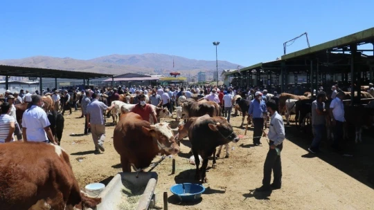 Malatya Canlı Hayvan Pazarı'nda Arefe günü yoğunluğu