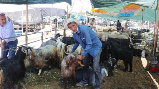 Malatya Canlı Hayvan Pazarı'nda Arefe günü yoğunluğu