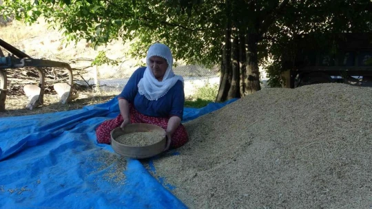 Malatya'da ''bulgur'' telaşı