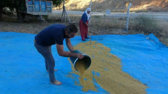 Malatya'da ''bulgur'' telaşı