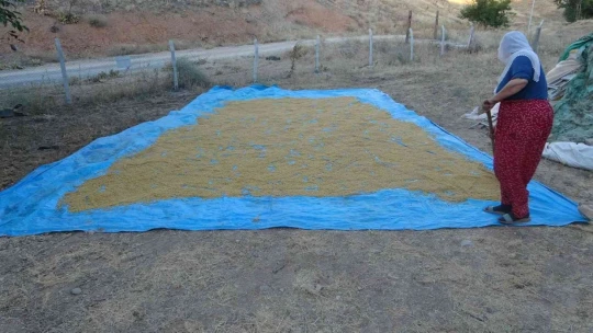 Malatya'da ''bulgur'' telaşı