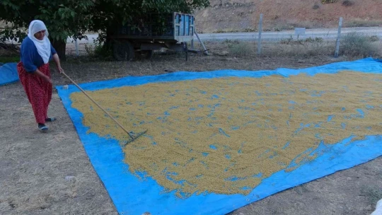 Malatya'da ''bulgur'' telaşı