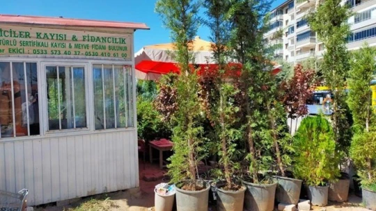 Malatya'da 'şarka virüsü' alarmı