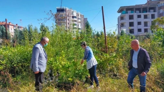 Malatya'da 'şarka virüsü' alarmı