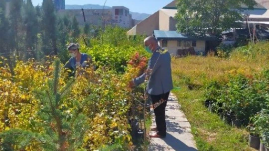 Malatya'da 'şarka virüsü' alarmı