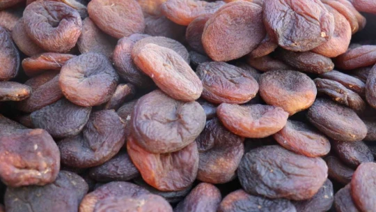 1 yılda 402 milyon dolarlık kayısı ihracatı