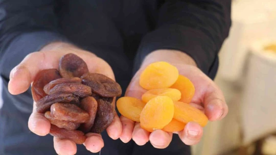 1 yılda 402 milyon dolarlık kayısı ihracatı