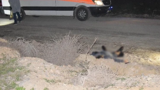 Malatya'da 24 yaşındaki bir genç ölü olarak bulundu