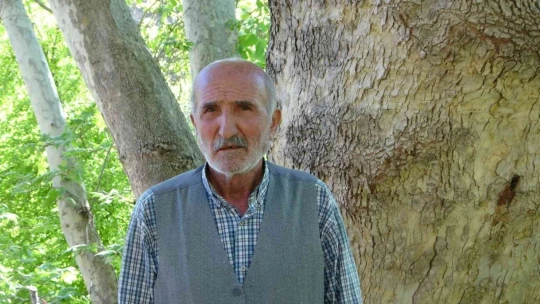 Malatya'da 250 yıllık çınar ağacı için koruma talebi