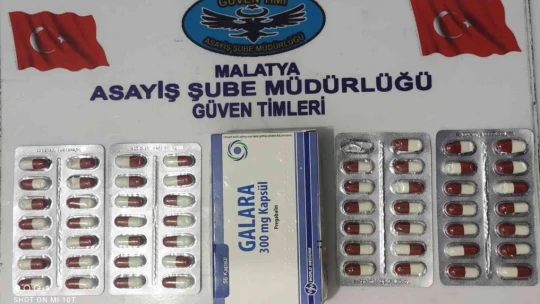 Malatya'da 26 silah ele geçirildi