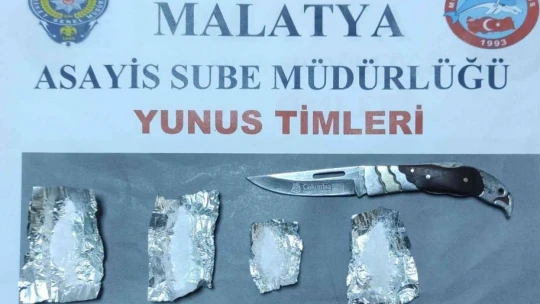 Malatya'da 26 silah ele geçirildi