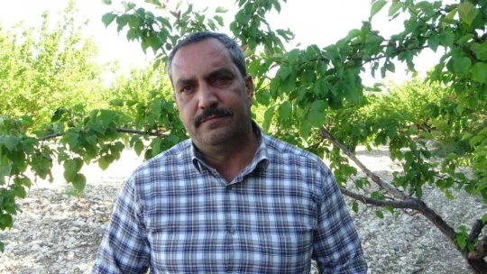 Malatya'da 300 bin kayısı ağacı doludan etkilendi