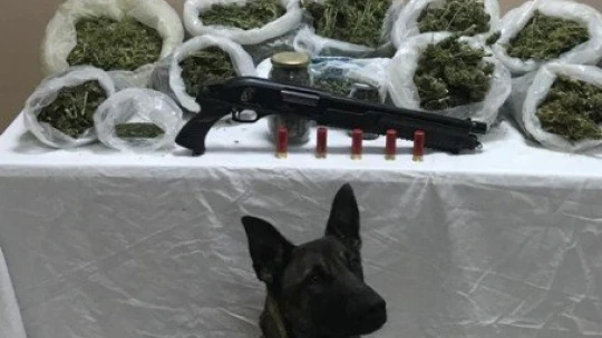 Malatya'da 5 kilo 300 gram esrar ele geçirildi