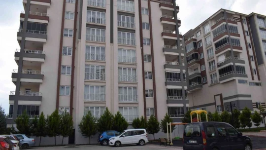Malatya'da aç kalan domuzlar kent merkezine indi