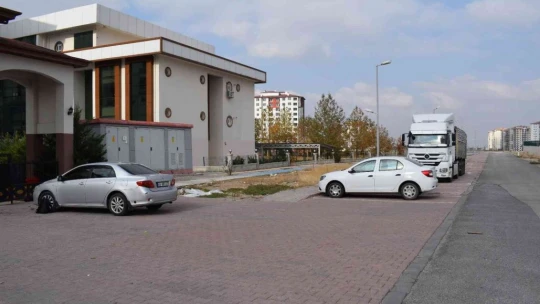 Malatya'da aç kalan domuzlar kent merkezine indi