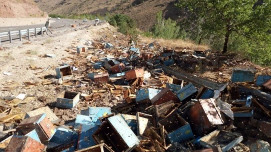 Malatya'da arı kovanı yüklü kamyon devrildi: 3 ölü