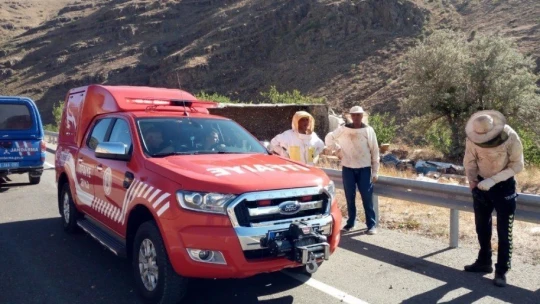 Malatya'da arı kovanı yüklü kamyon devrildi: 3 ölü