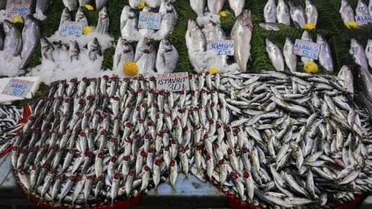 Balık fiyatları düştü