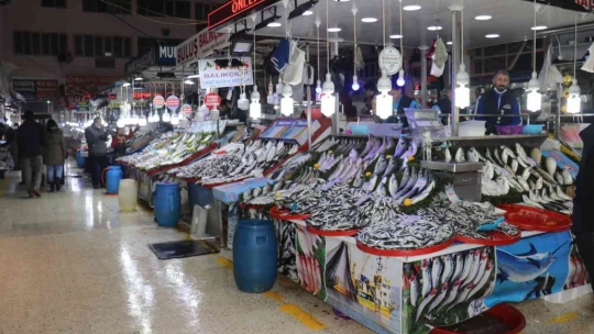 Balık fiyatları düştü