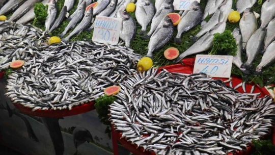 Balık fiyatları düştü