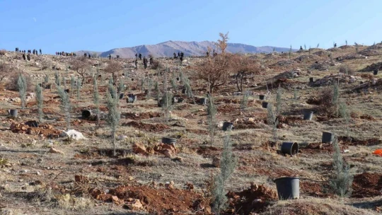 Malatya'da bir yılda 2 milyon 250 bin fidan toprakla buluşacak