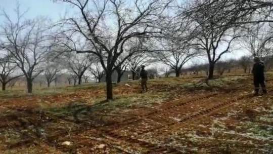 Malatya'da kayısı çiçeği ilaçlanması başladı