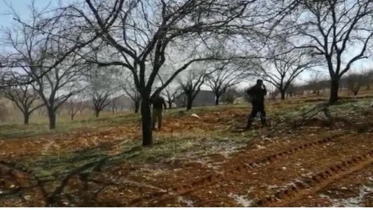 Malatya'da kayısı çiçeği ilaçlanması başladı