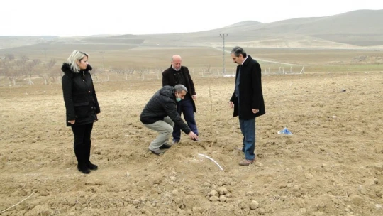 Malatya'da dut üretimi yaygınlaşıyor