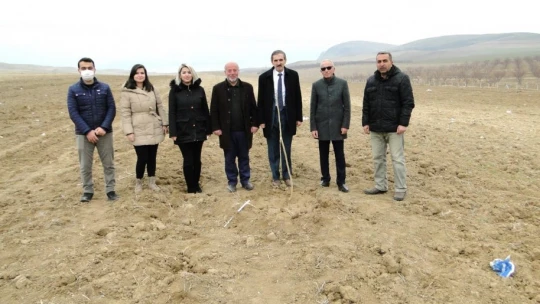 Malatya'da dut üretimi yaygınlaşıyor