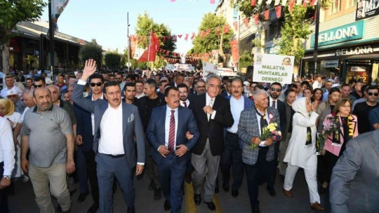 Kayısı Festivali başladı
