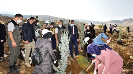 Malatya'da fidan dikimi