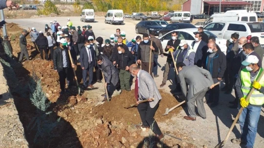 Malatya'da fidan dikimi