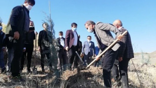 Malatya'da fidan dikimi