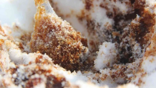 Malatya'da gençler karlı pekmezinin tadını çıkardı