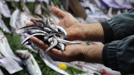 Malatya'da havalar soğudu balığa talep arttı