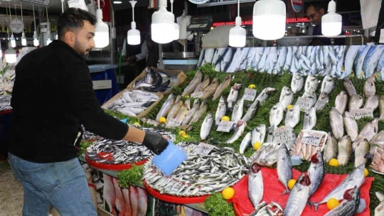 Malatya'da havalar soğudu balığa talep arttı