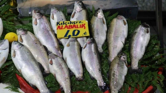 Malatya'da havalar soğudu balığa talep arttı