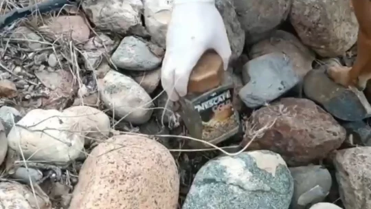 Jandarmadan drone destekli uyuşturucu operasyonu