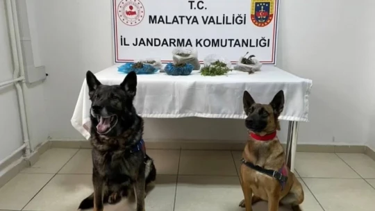 Jandarmadan drone destekli uyuşturucu operasyonu