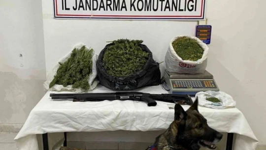 Malatya'da jandarmadan silah ve uyuşturucu operasyonu