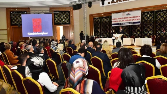 Malatya'da kadına yönelik şiddet arttı
