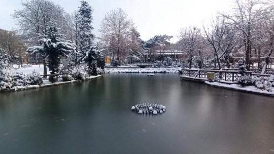 Malatya'da kar sevinci