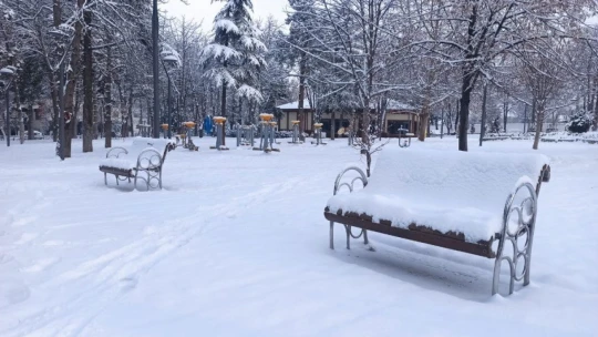 Malatya'da kar sevinci