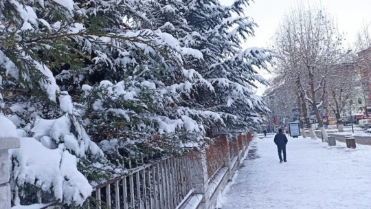 Malatya'da kar sevinci