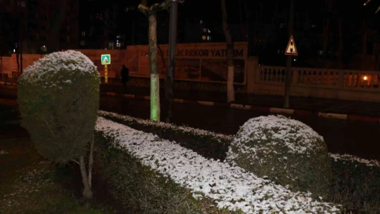 Malatya'da kar yağışı etkili oluyor
