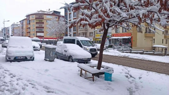 Malatya'da kar yağışı etkili oldu