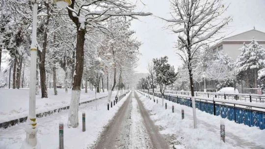 Malatya'da kar yağışı kartpostallık görüntüler oluşturdu
