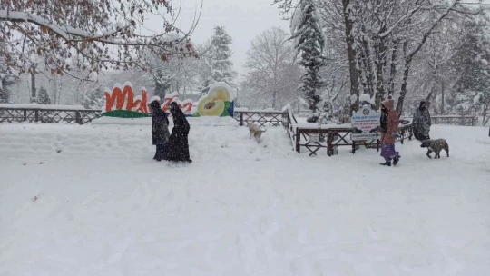Malatya'da kar yağışı kartpostallık görüntüler oluşturdu