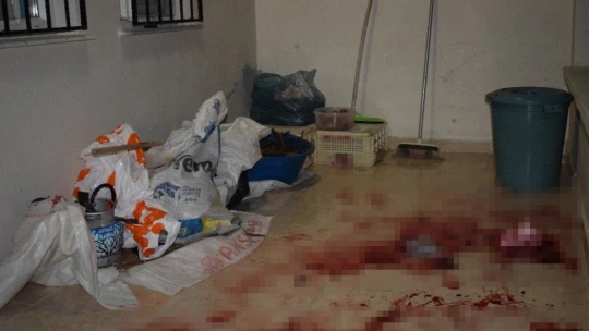 Malatya'da kardeşlerin miras kavgası kanlı bitti